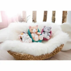 Nici 47143 Sleeping Kitties Schlafende Katze Im Körbchen 16cm Plüsch Glückskatze -Babyfreude Deutschland Verkaufs-Shop 225fb2c38d40fcd9ae8c61ae8a46604d