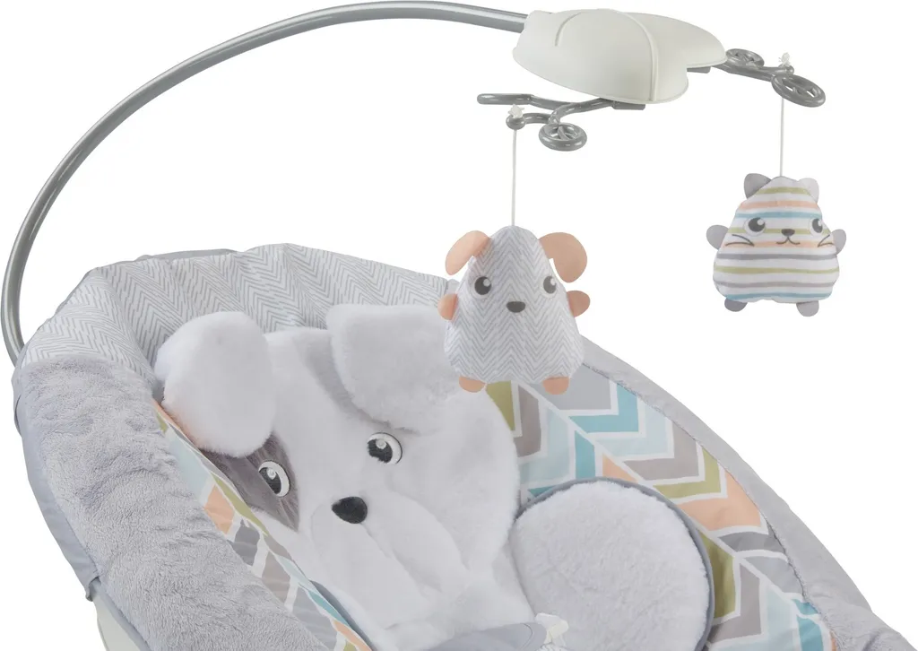 Fisher Price Fisher-Price Deluxe Babywippe Im Hundebaby Design, Moderne Baby-Ausstattung 4 Fisher Price Fisher-Price Deluxe Babywippe Im Hundebaby Design, Moderne Baby-Ausstattung – Bild 4